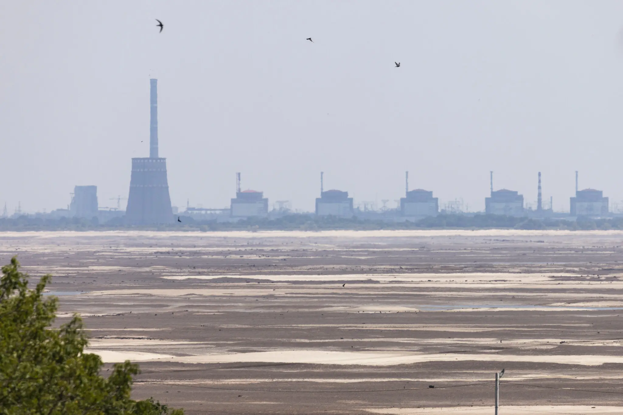 Запорізька атомна електростанція на березі Дніпра. Попередження президента Володимира Зеленського про можливу ядерну диверсію з боку російських військ змусили деяких українців готуватися до гіршого